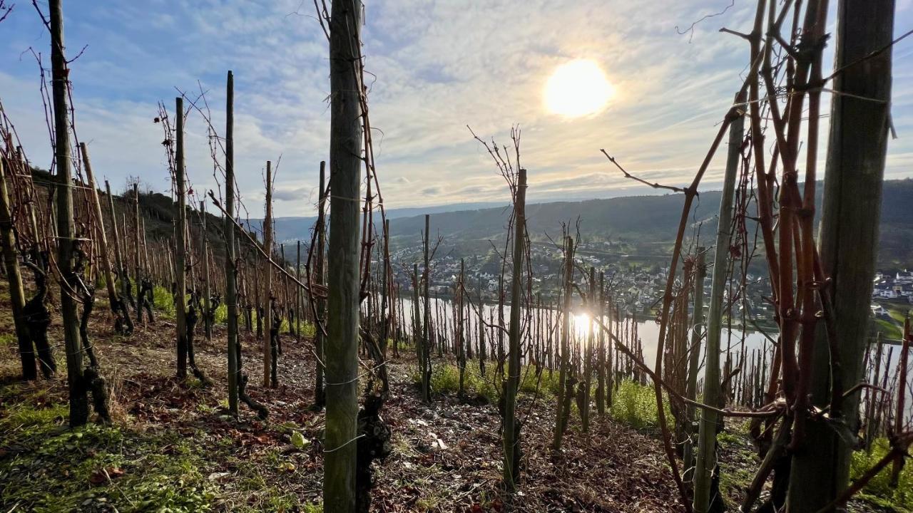 Appartamento Weinrebe Bernkastel-Kues Esterno foto