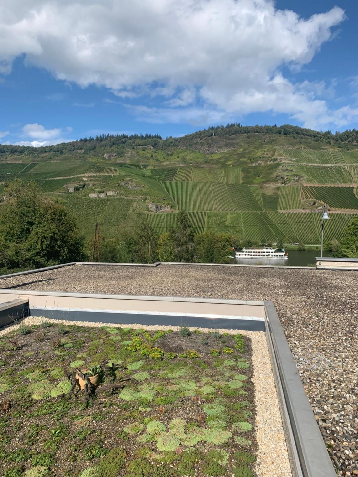 Appartamento Weinrebe Bernkastel-Kues Esterno foto