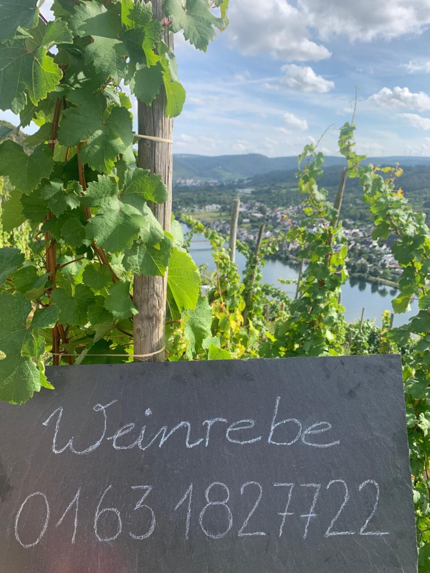 Appartamento Weinrebe Bernkastel-Kues Esterno foto